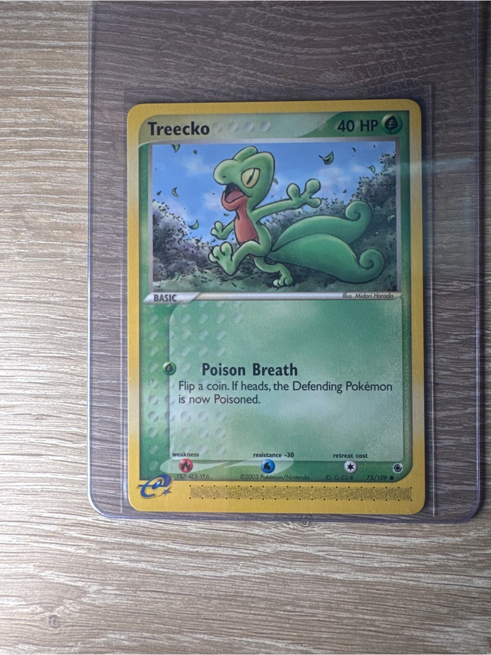 Treecko #75/Pokemon Ruby & Sapphire